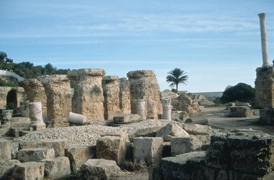 View of ruins by Roman